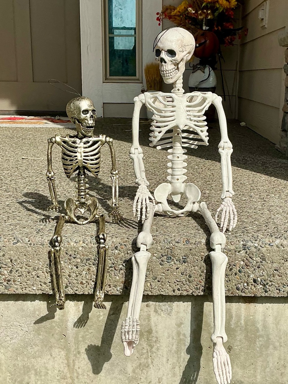 Halloween Decorative Skeleton Figures- White 36in & Copper 22in Moveable Jointed